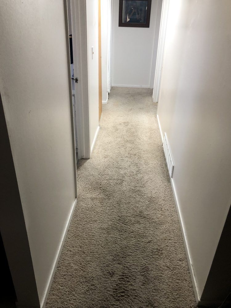 Narrow hallway with beige carpet and walls, a closed door on the left, and a picture at the end.