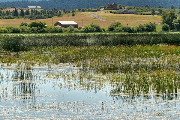 A home in Klamath Falls, OR with a pond.
