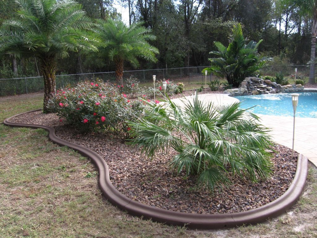 There is a swimming pool in the backyard with a lot of plants around it.