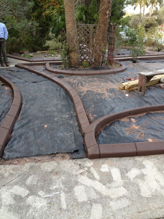 A man is standing on a sidewalk next to a tree.