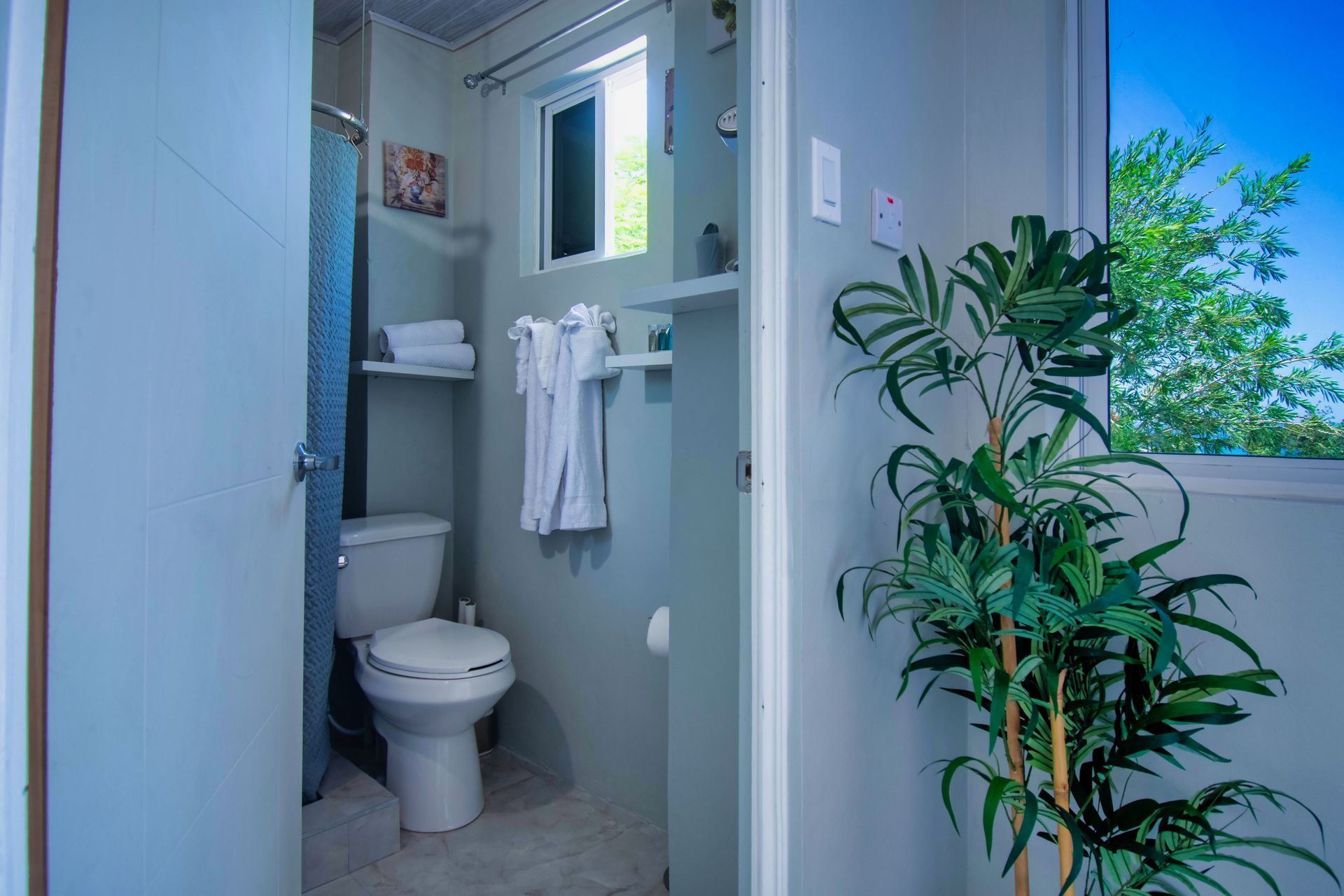 Small, light blue bathroom with a toilet, towels, window, and a green plant.