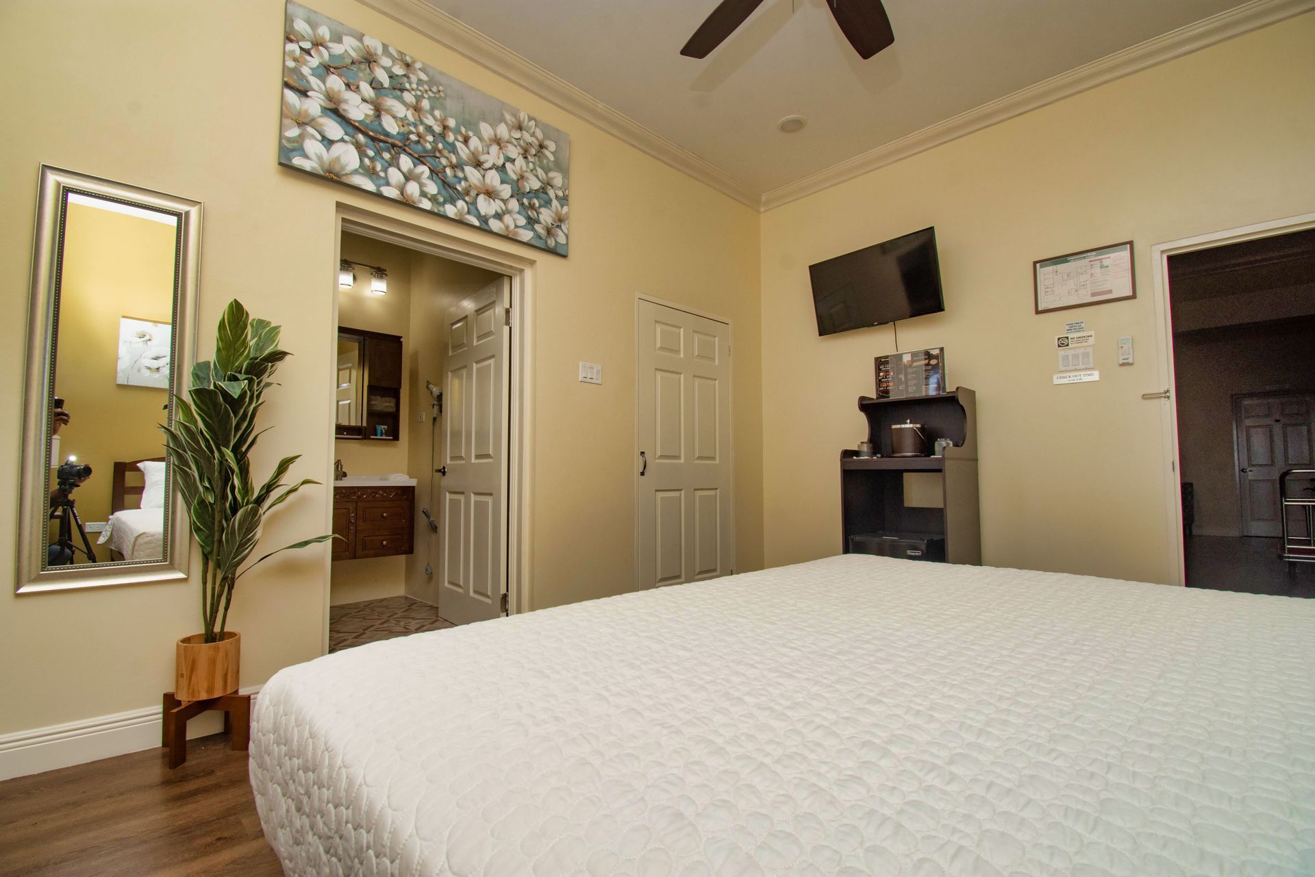Bedroom with a king-sized bed, television, and bathroom entrance. Light yellow walls, hardwood floors, and a tall plant.