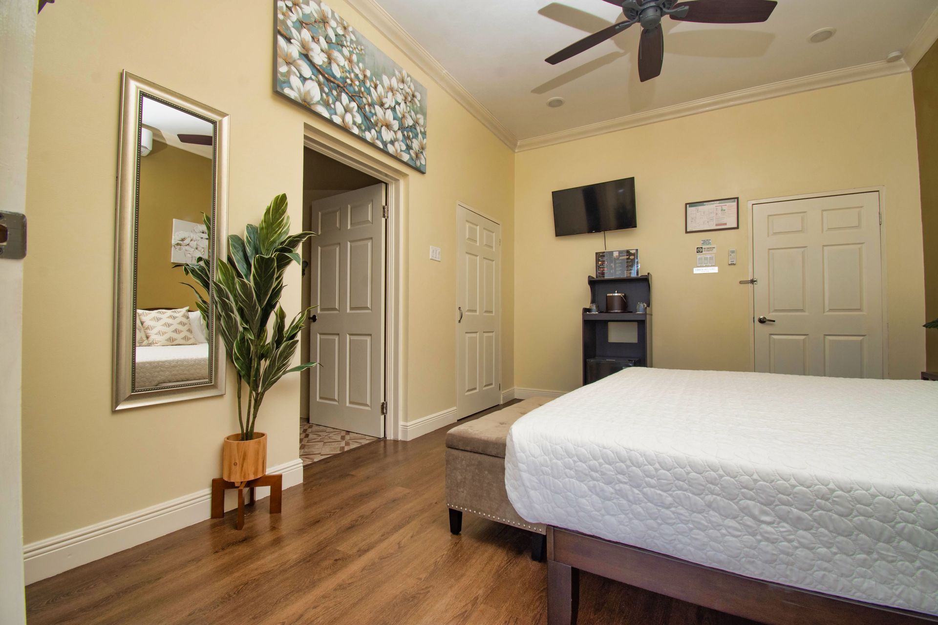 Bedroom with hardwood floors, a bed, mirror, plant, and television on a yellow wall.