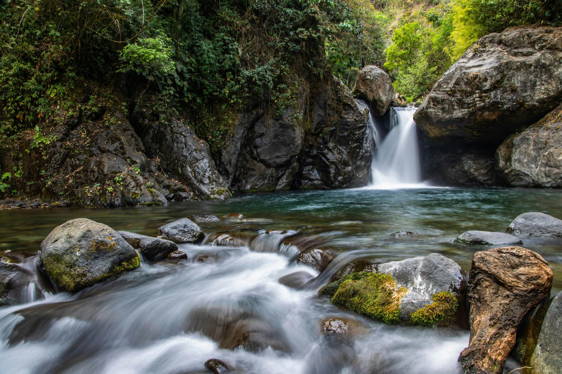 Waterfall cascades into a pool surrounded by mossy rocks and lush green foliage.