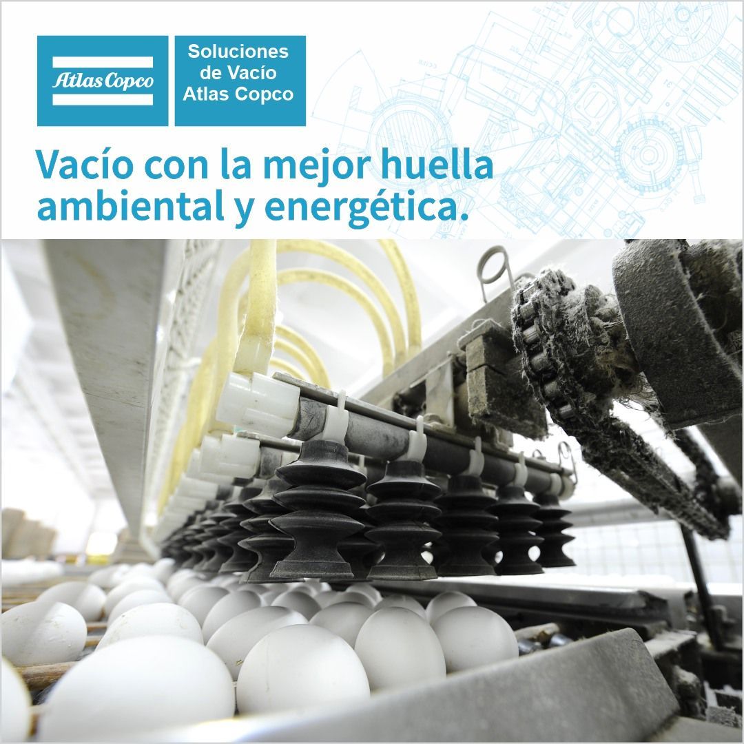 Vacío para planta de huevos