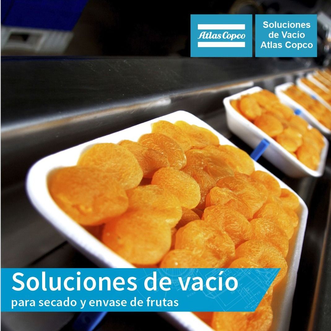 Vacío para frutas secas