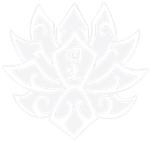 A white background with a few lines on it