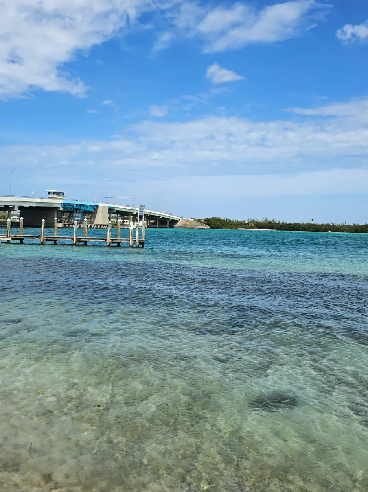 A dock in the middle of a body of water with a bridge in the background.