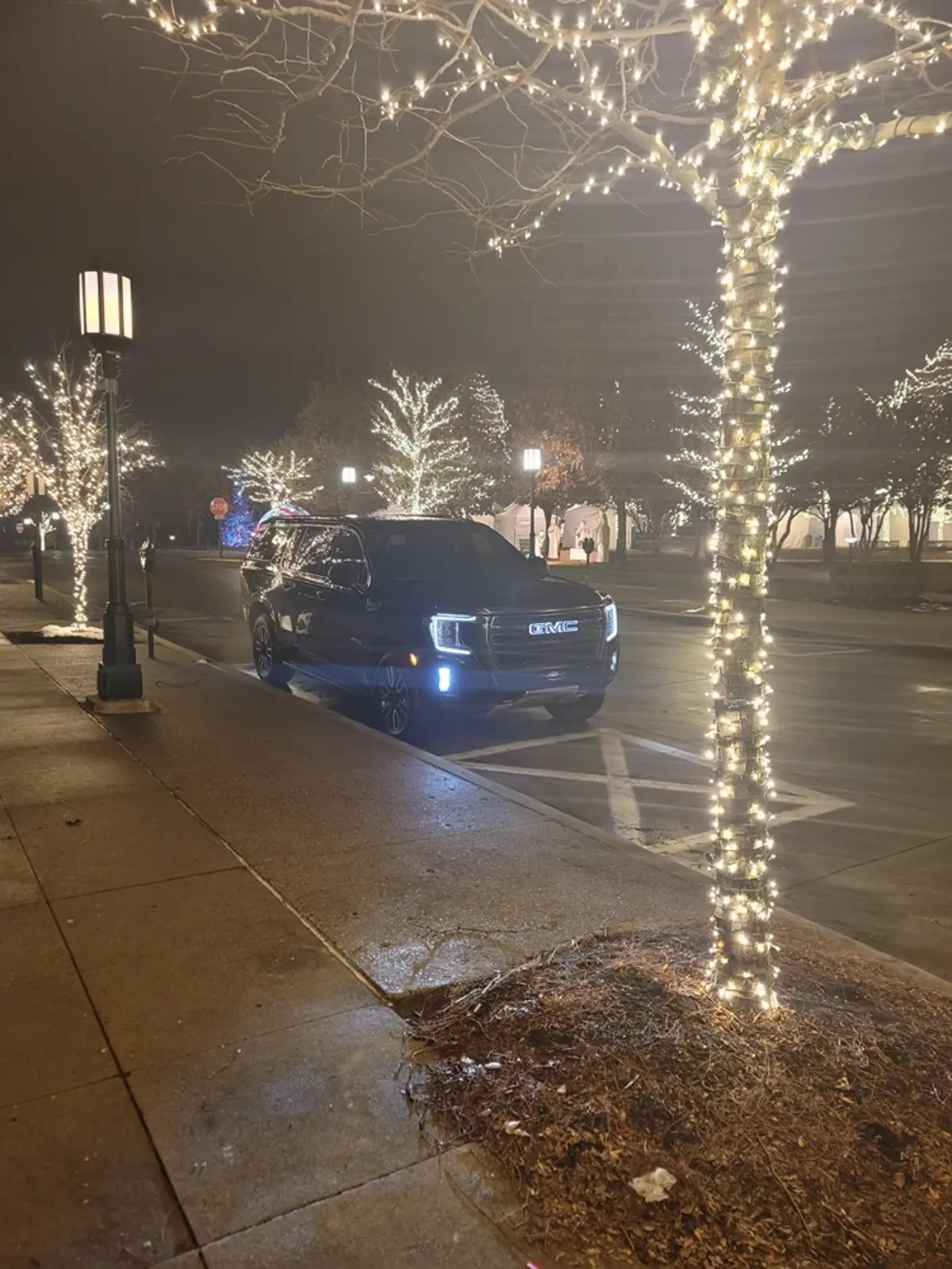 A car is parked on the side of the road next to a tree decorated with christmas lights.