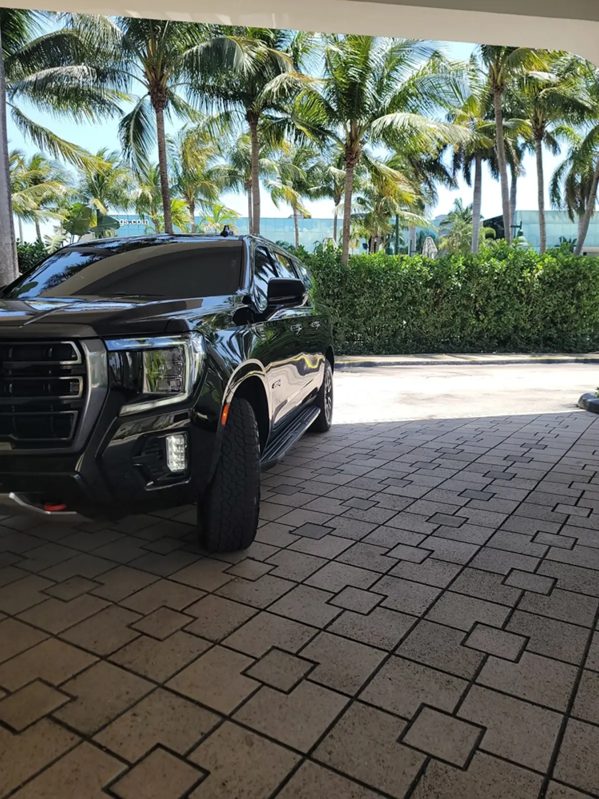 A black suv is parked in a garage with palm trees in the background.