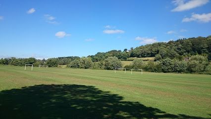 Green sports field with soccer goals, trees, and blue sky.