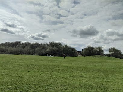 Grassy park under a cloudy sky, with a treeline and a person walking.