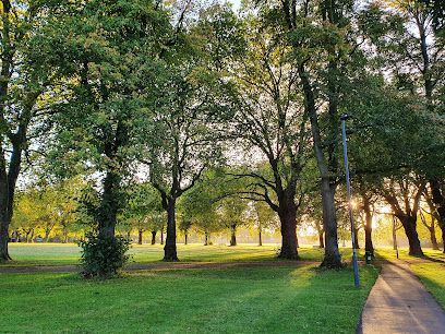 Sunlight streams through trees in a park with a walking path on a sunny day.