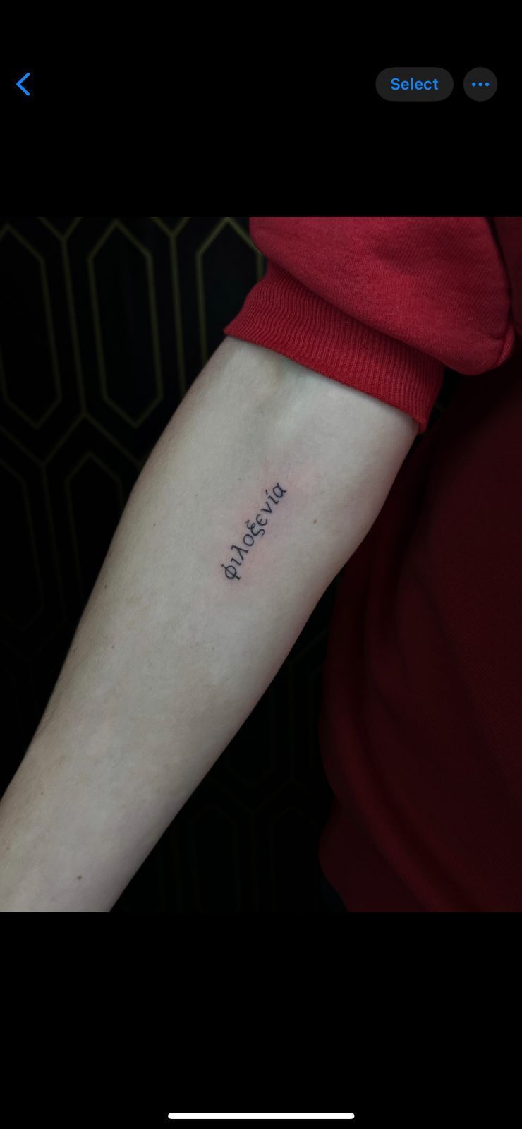 Paulina Ferreira fine line tattoo