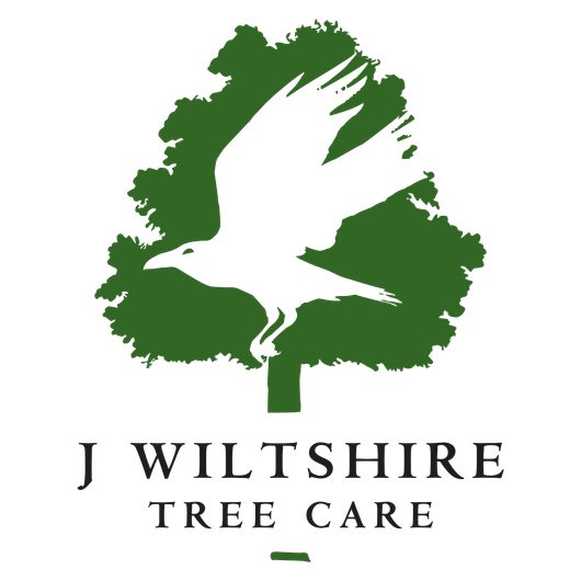 A logo for j wiltshire tree care with a bird flying over a tree