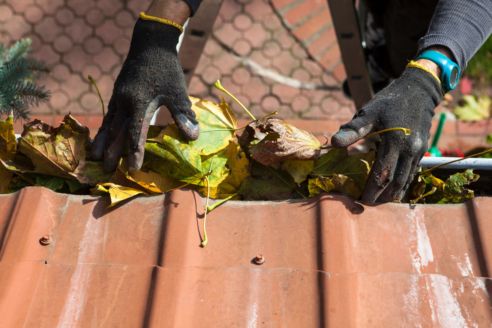 A person is cleaning a gutter on a roof with leaves.