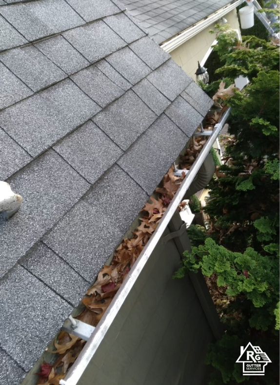 A gutter filled with leaves is on the roof of a house.