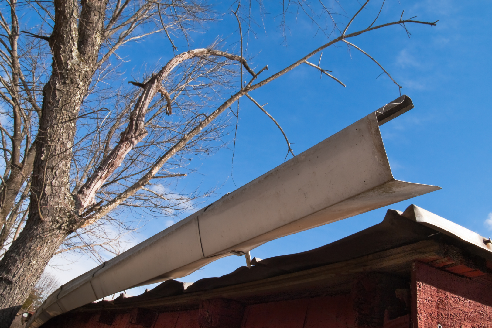 A tree branch is hanging from the roof of a building