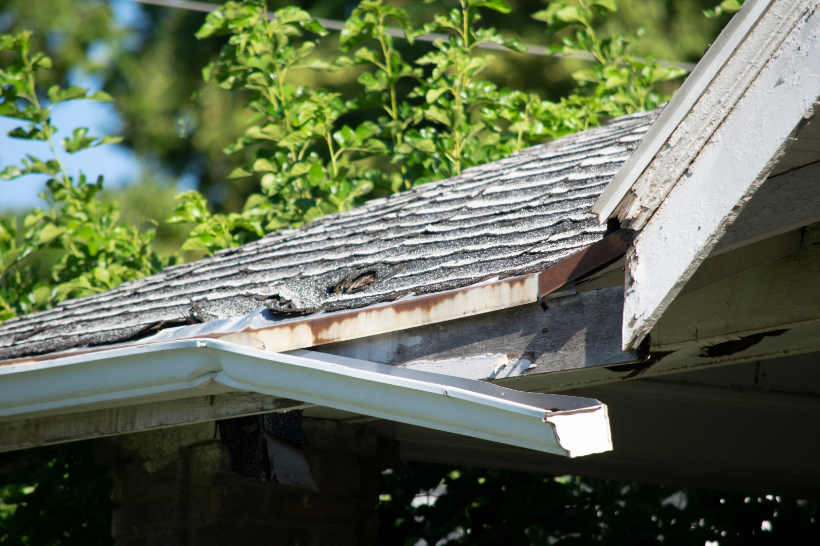 A close up of a roof with a gutter and trees in the background.