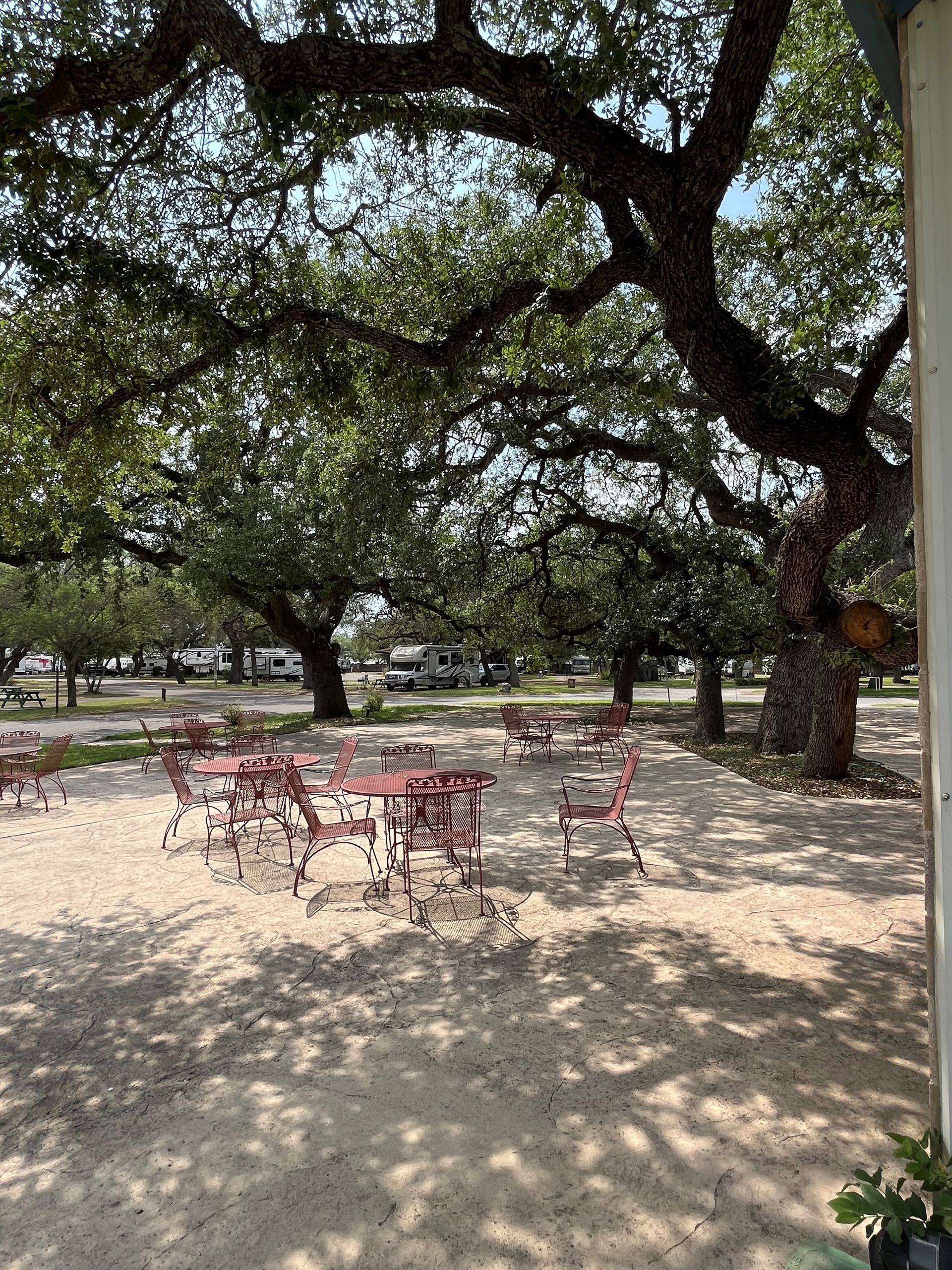 A patio with tables and chairs under trees on a sunny day.