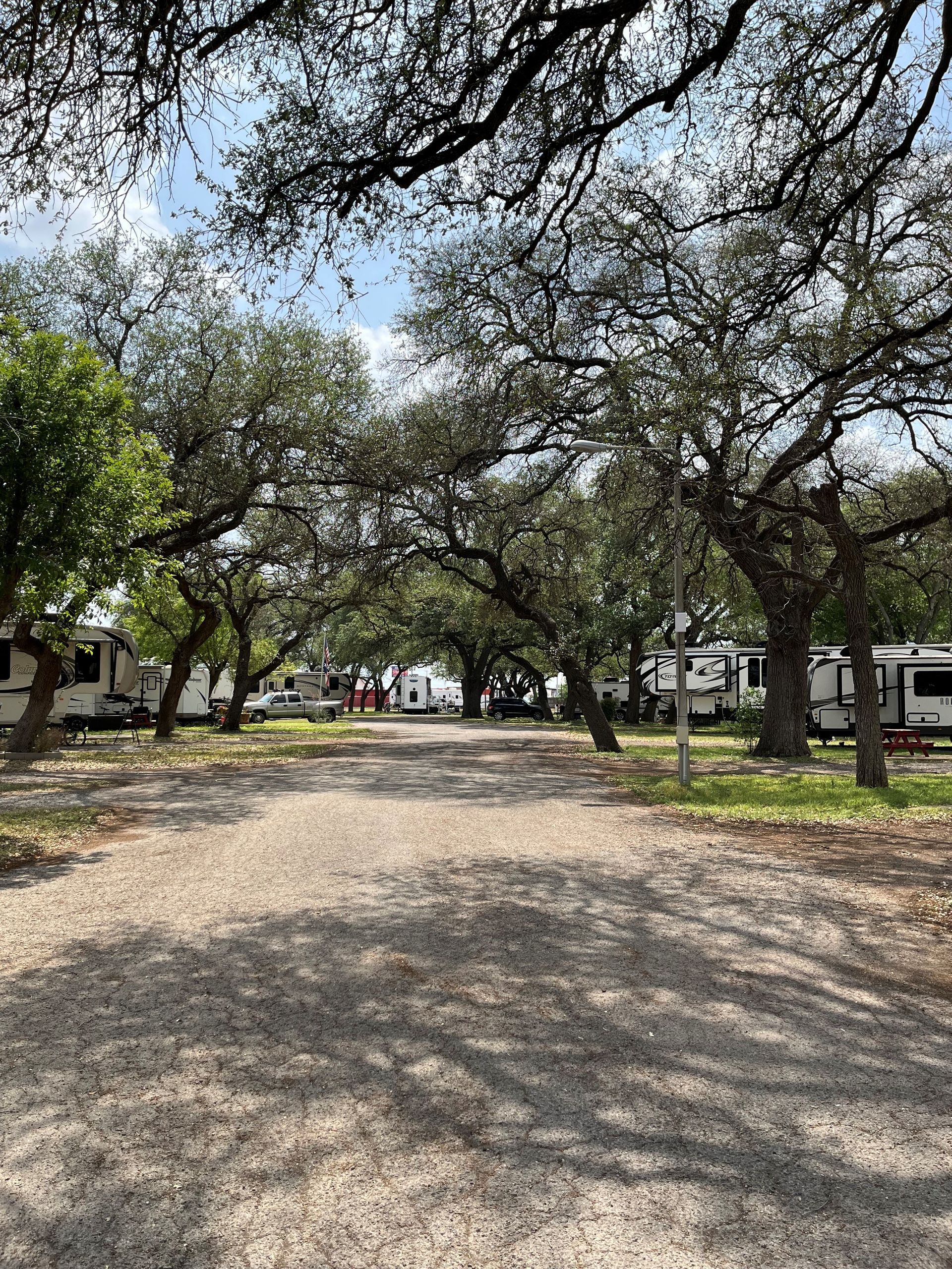 A dirt road surrounded by trees and rvs in a campground.