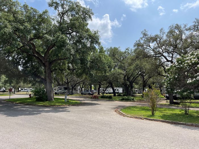 A gravel road surrounded by trees in a park.