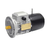 motori asincroni autofrenanti