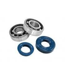 Cuscinetti e Paraoli