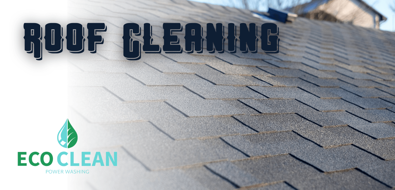 Roof Cleaning Service In Harrisburg Pa