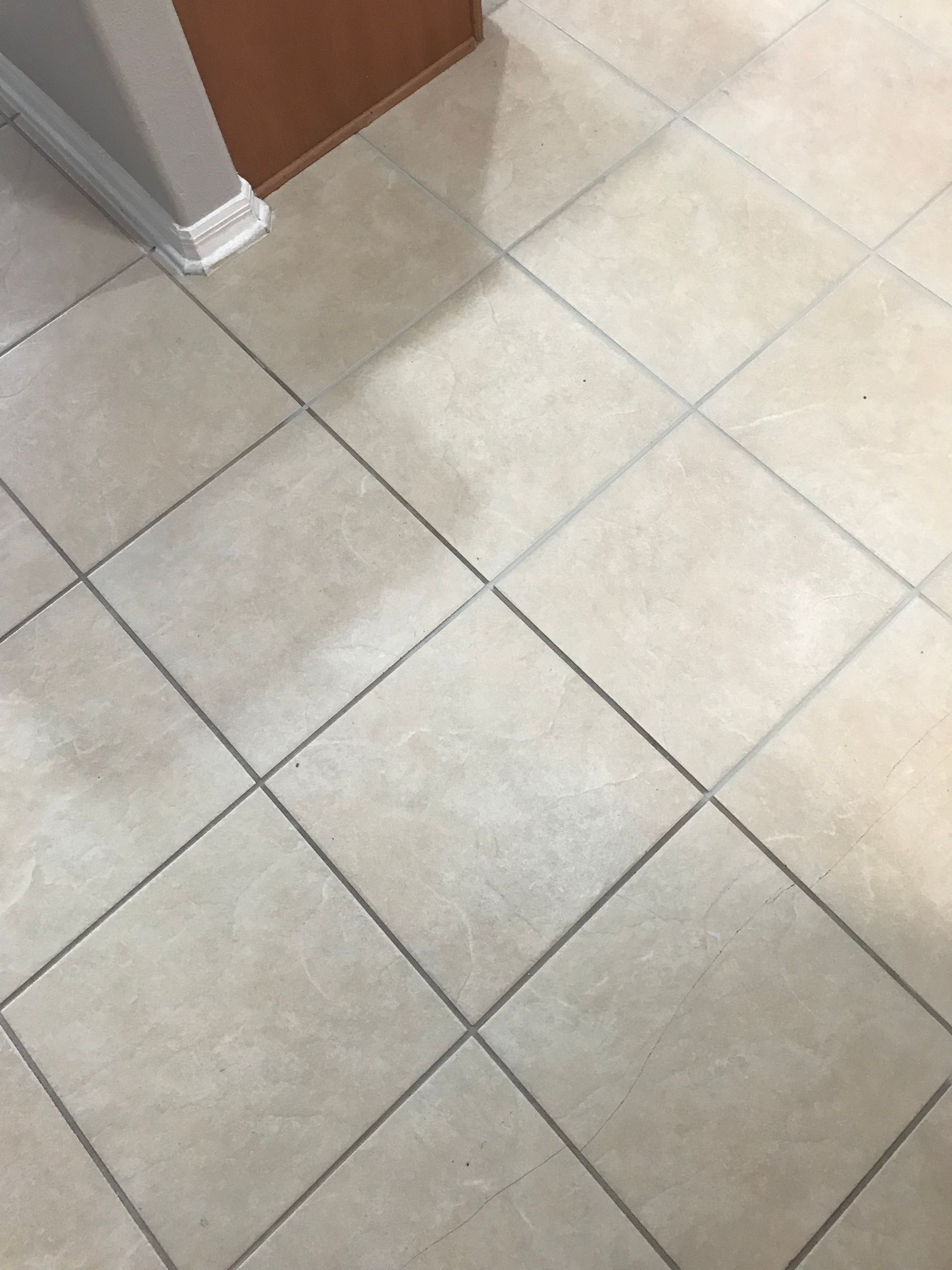 Person cleaning tile floor with a circular cleaning tool connected to blue and silver hoses.