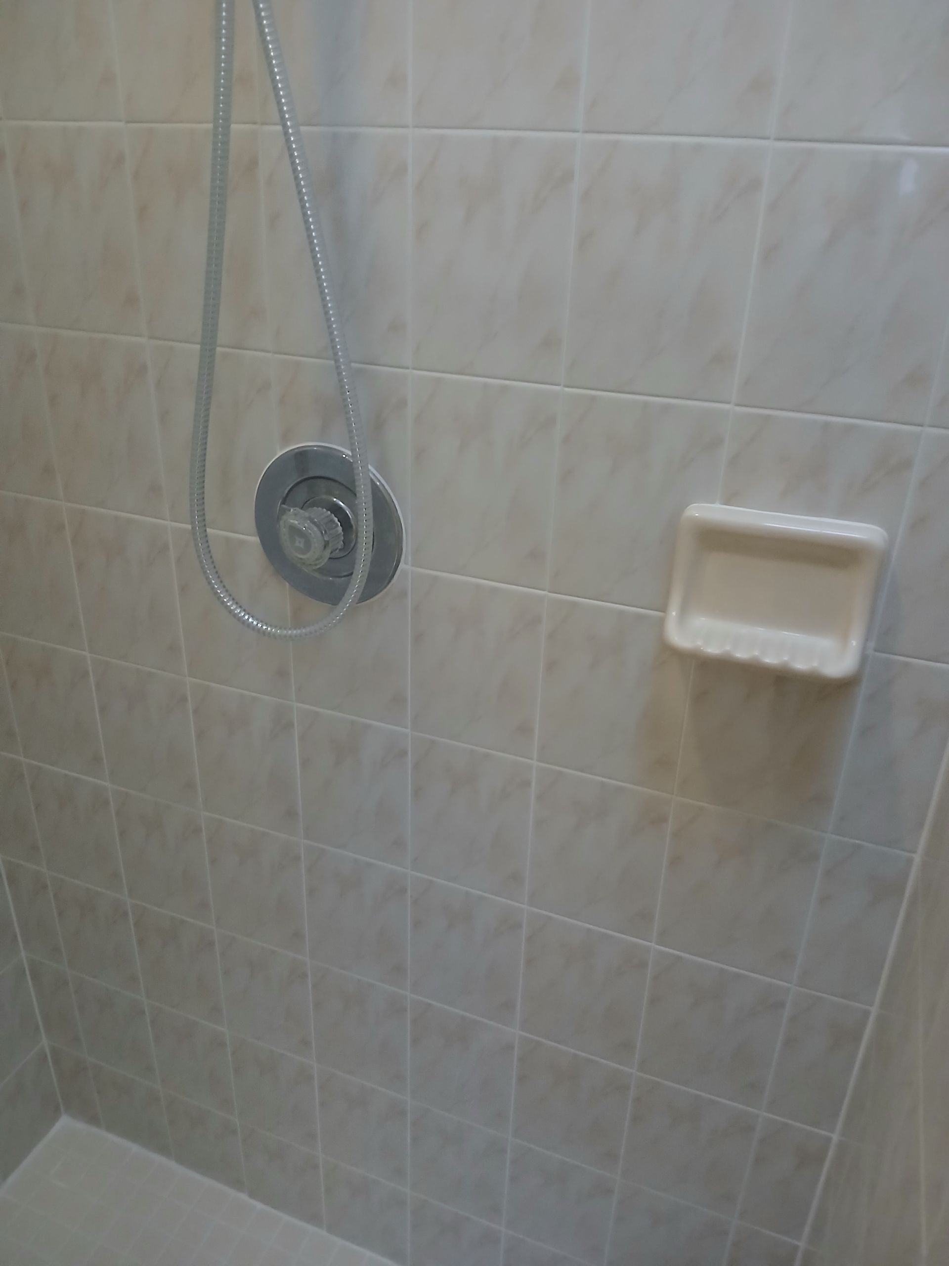Shower interior with tile walls, shower head, and soap dish.