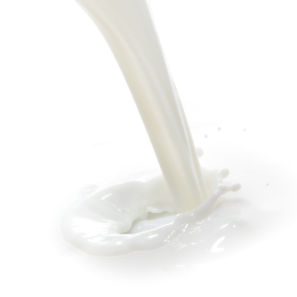 Premezclas S.A. - Leches