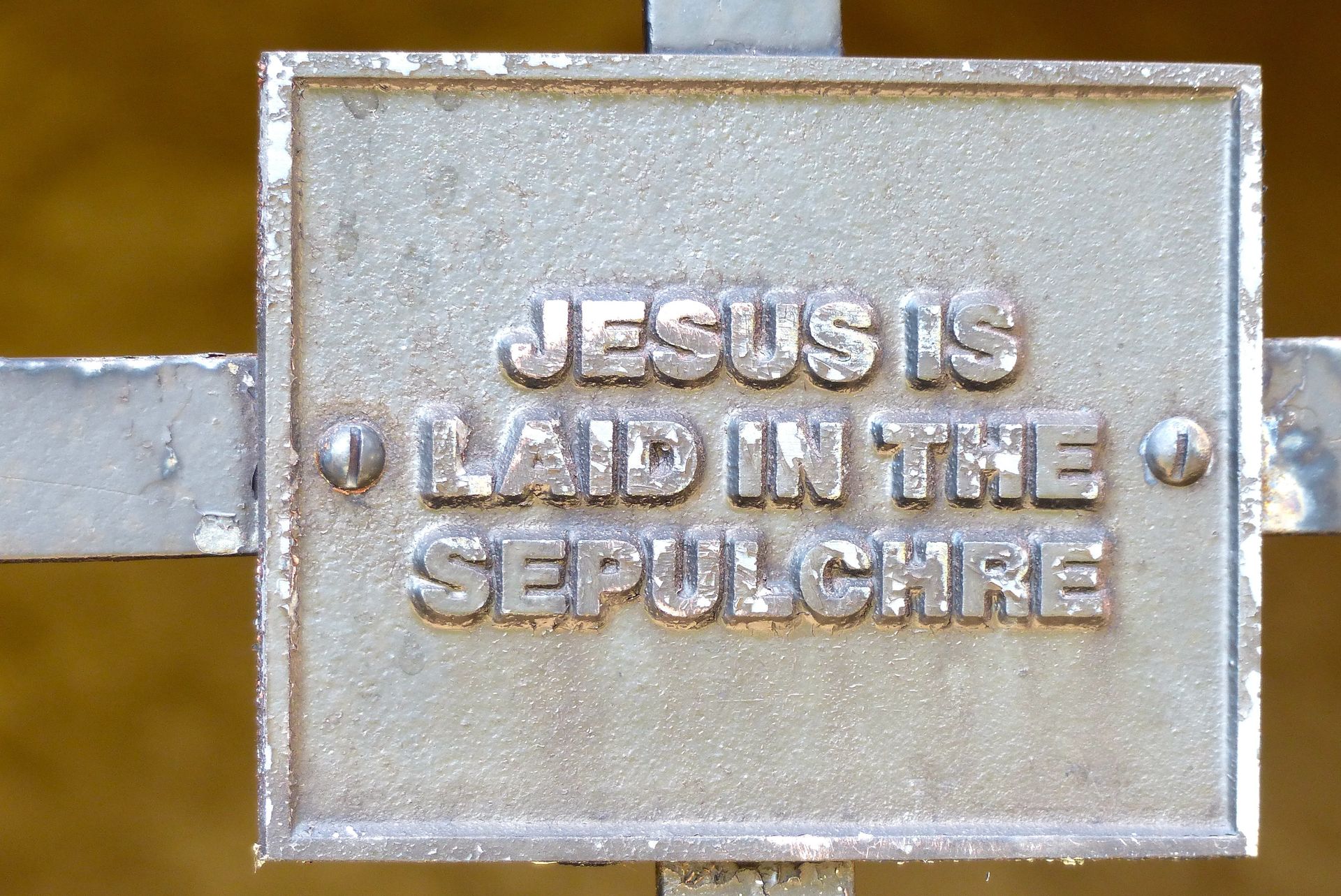 Padre Pio, Grotto, Vineland, NJ - Photo by Kelli Campbell