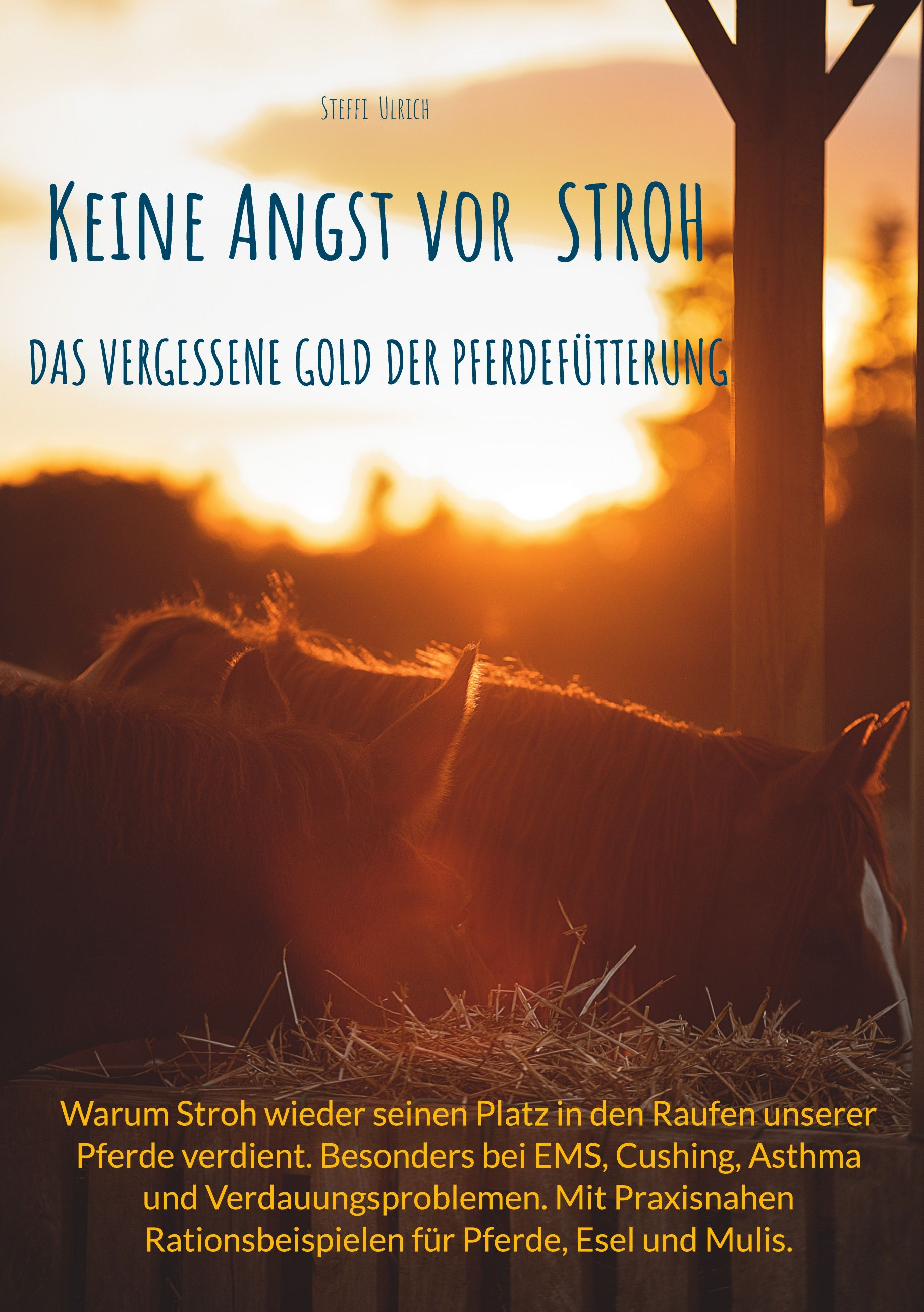 Buchcover: „Keine Angst vor Stroh“, Titel über einem Foto von Pferden, die bei Sonnenuntergang Heu fressen. Der Text behandelt die Pferdefütterung.