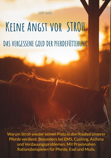 Buchcover: „Keine Angst vor Stroh“. Pferde im Sonnenuntergang, Titeltext und Text über Pferdegesundheit.