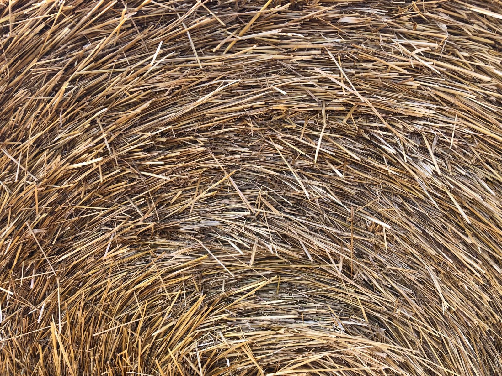 Nahaufnahme einer Rundballen-Heurolle mit dicht gepresstem, getrocknetem Gras in Braun- und Beigetönen; Primer plano de una bala redonda de heno con hierba seca compactada en tonos marrones y beige