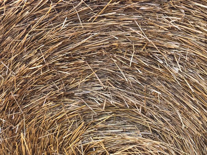 Nahaufnahme eine Rundballen Strohs; Primer plano de un rollo de paja