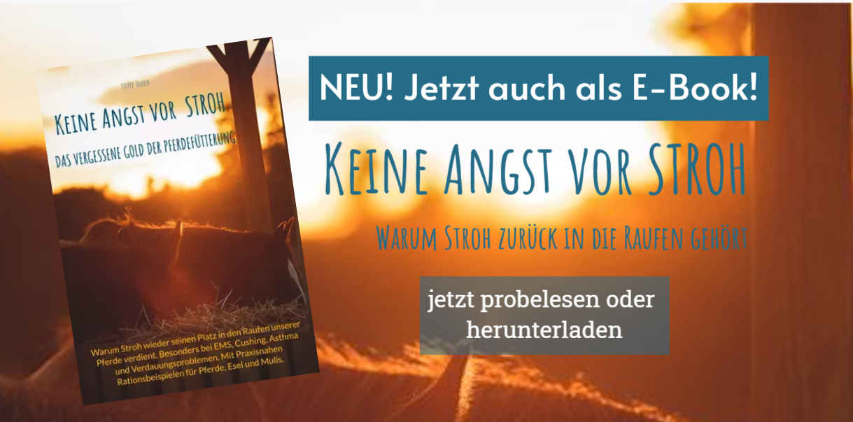 Buchcover-Werbung: „Keine Angst vor Stroh“ als E-Book erhältlich. Sonnenuntergang im Hintergrund. Lesen oder herunterladen.