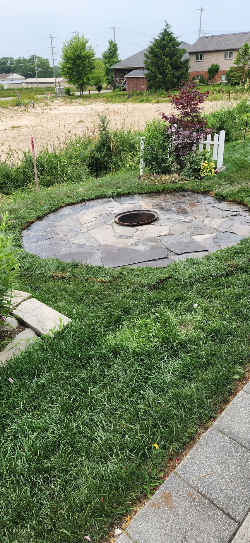 A fire pit is sitting in the middle of a lush green yard.