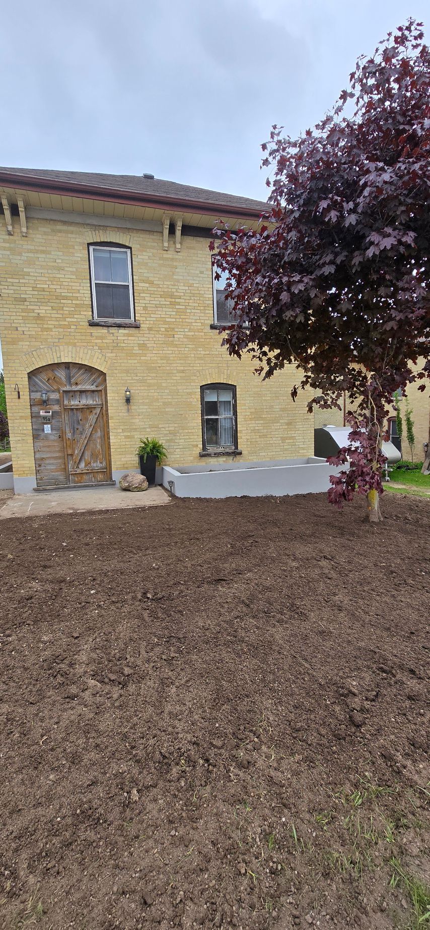 A large yellow house with a purple tree in front of it.