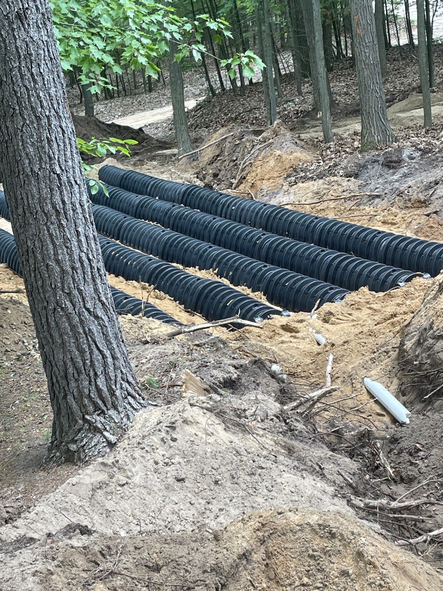 A row of black pipes are sitting in the dirt next to a tree.