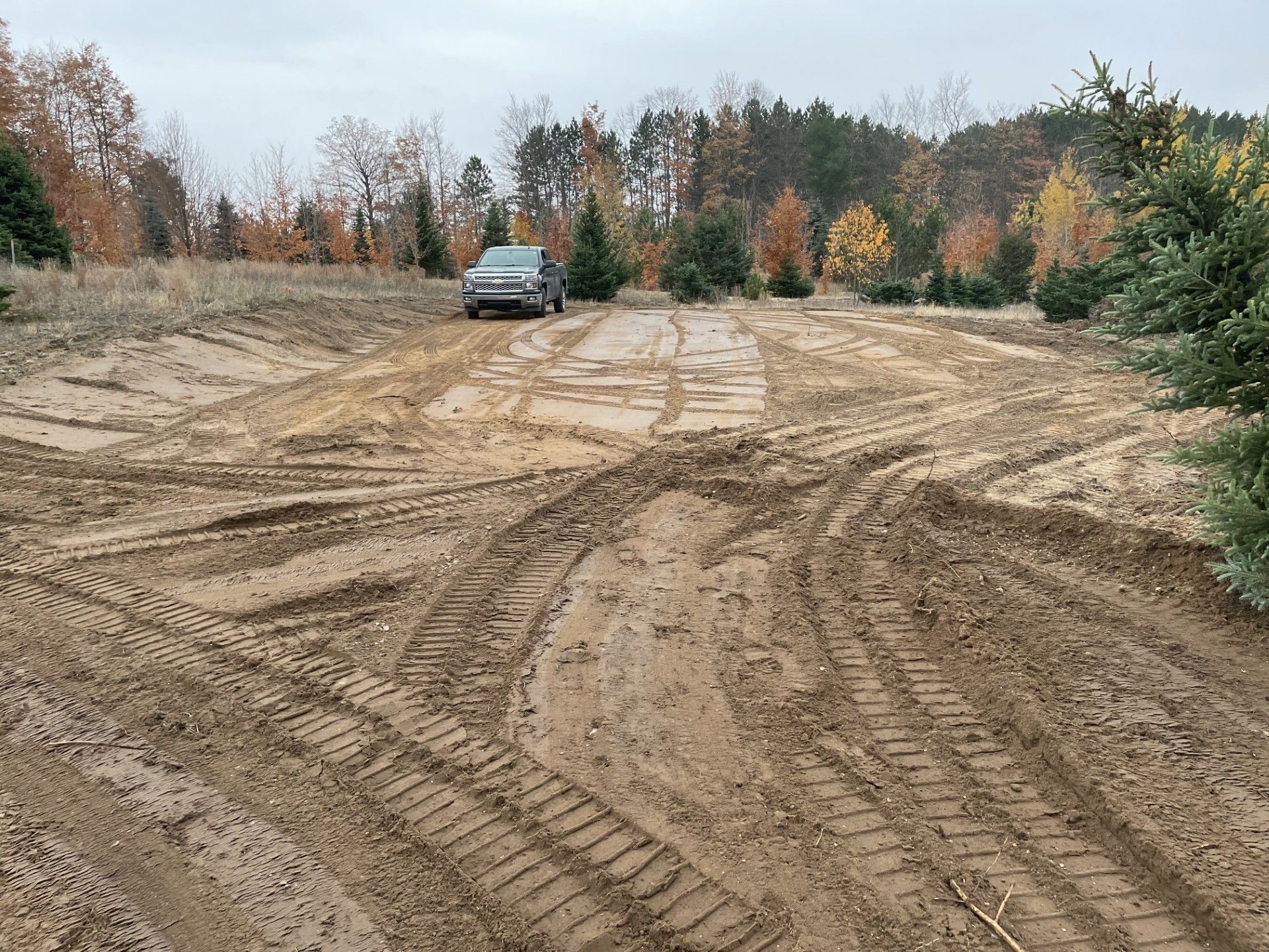A car is driving down a dirt road next to a christmas tree farm.