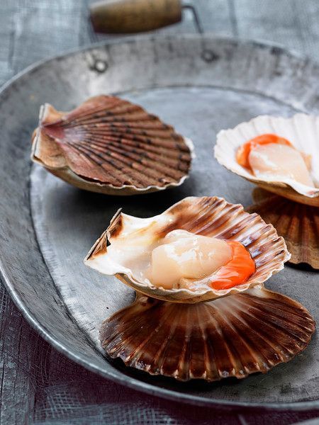 Cassolette de Saint-Jacques en coquille