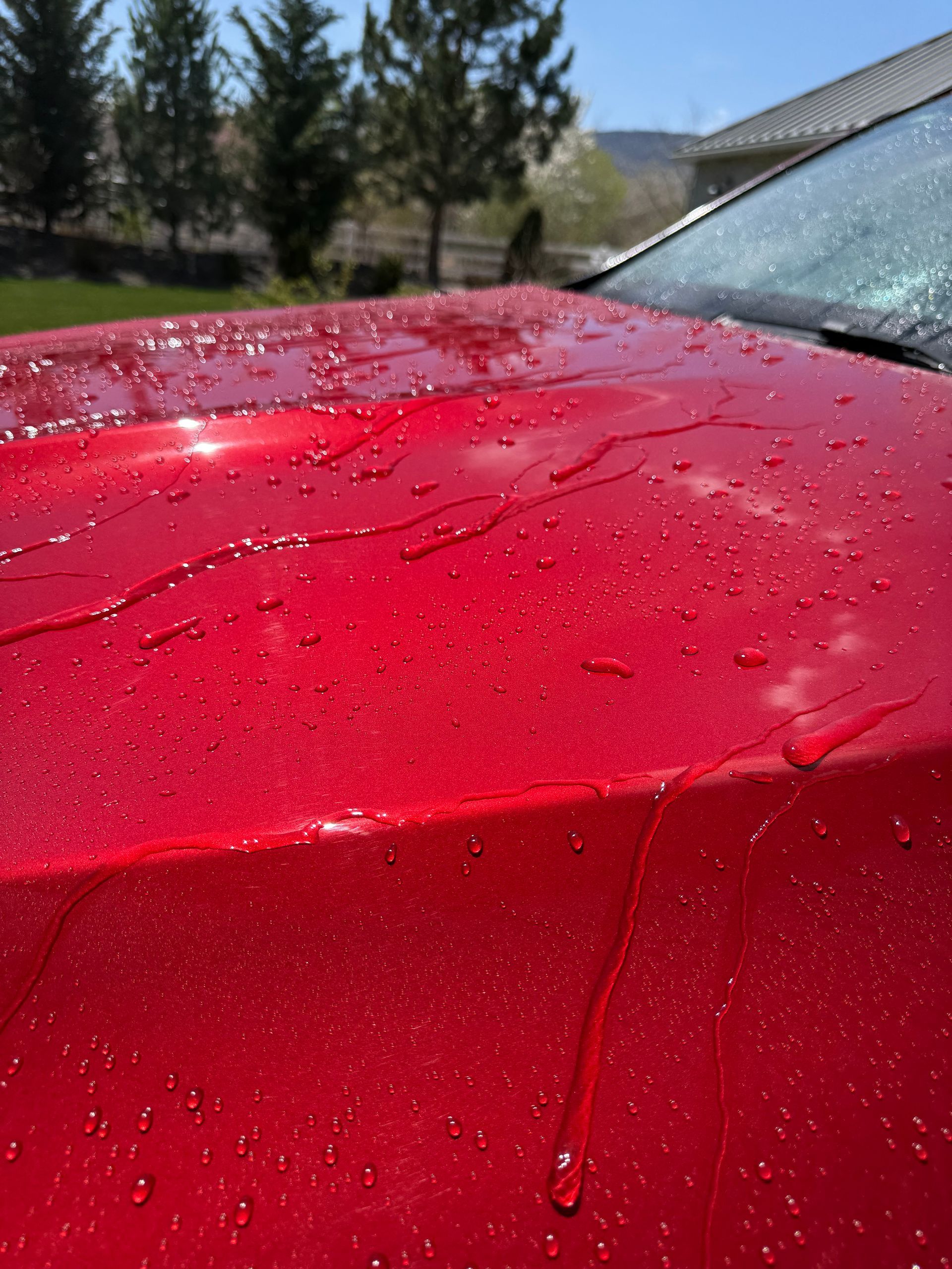 A close up of a red car with water drops on it.