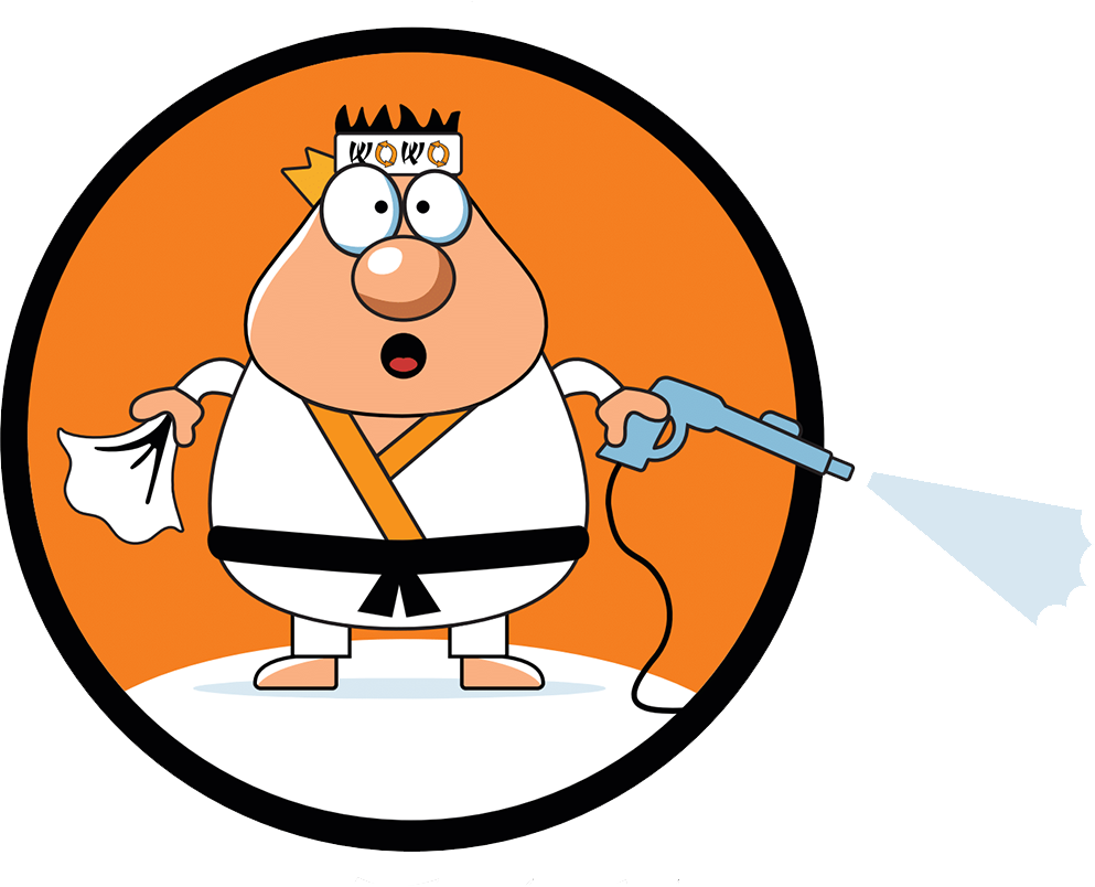 Wax on Wax off Mobile Detail