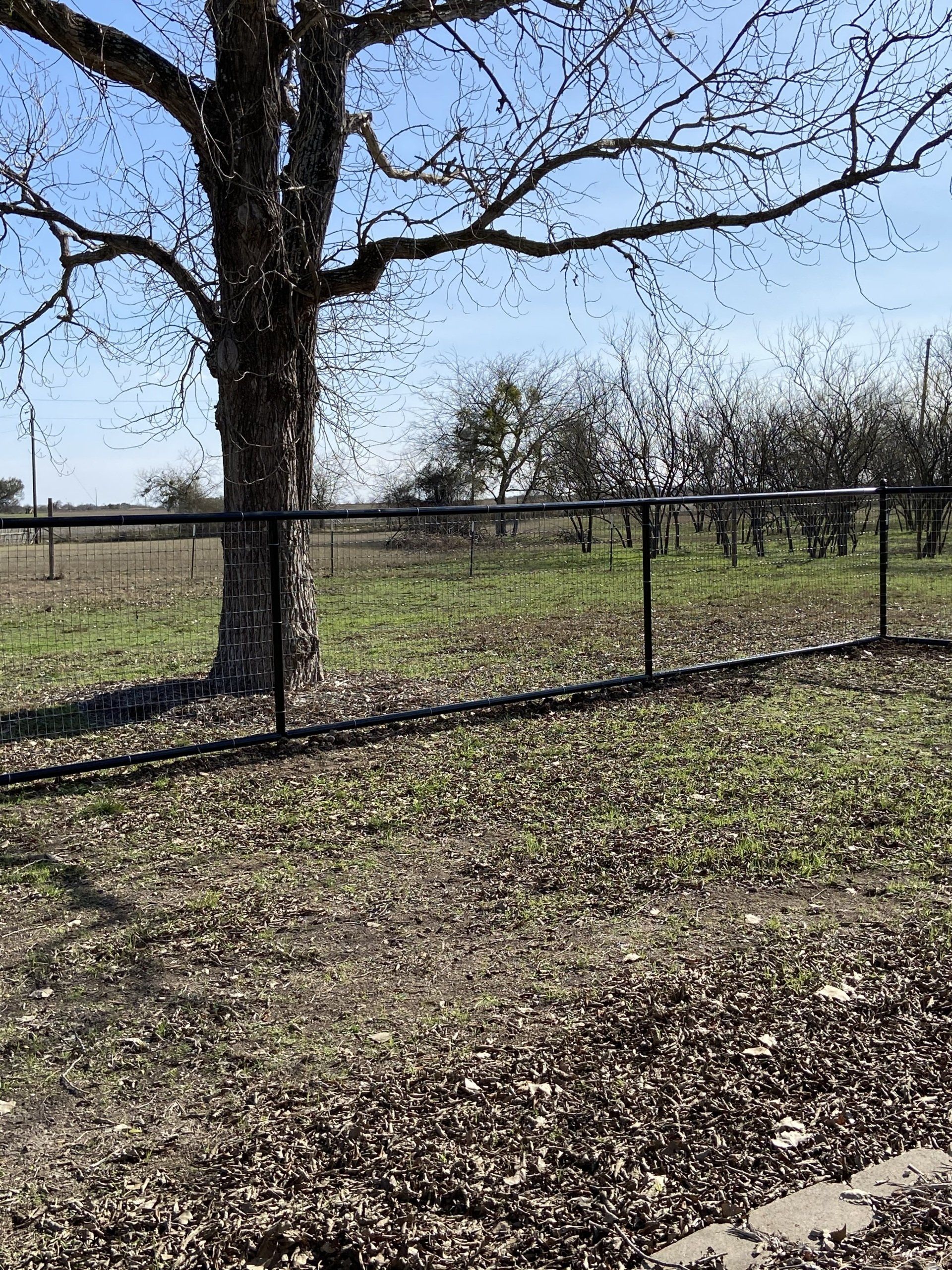 Pipe Fence with Wire Panel — New Braunfels, TX — Shelton’s Outback Fence Co