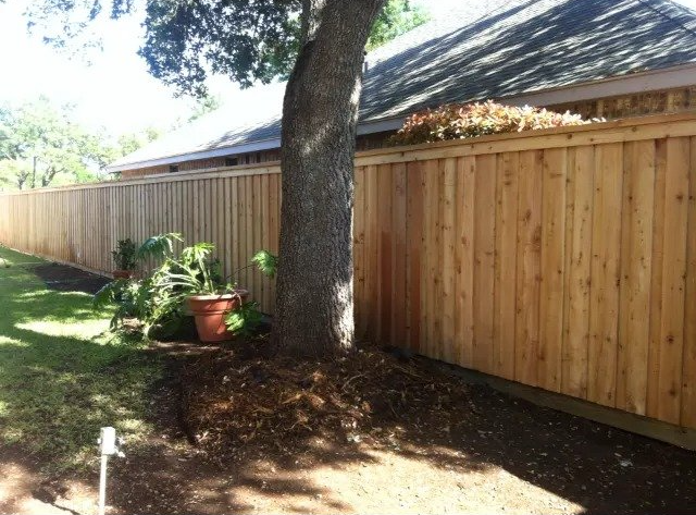 Cedar Privacy Fence and Large Tree — New Braunfels, TX — Shelton’s Outback Fence Co