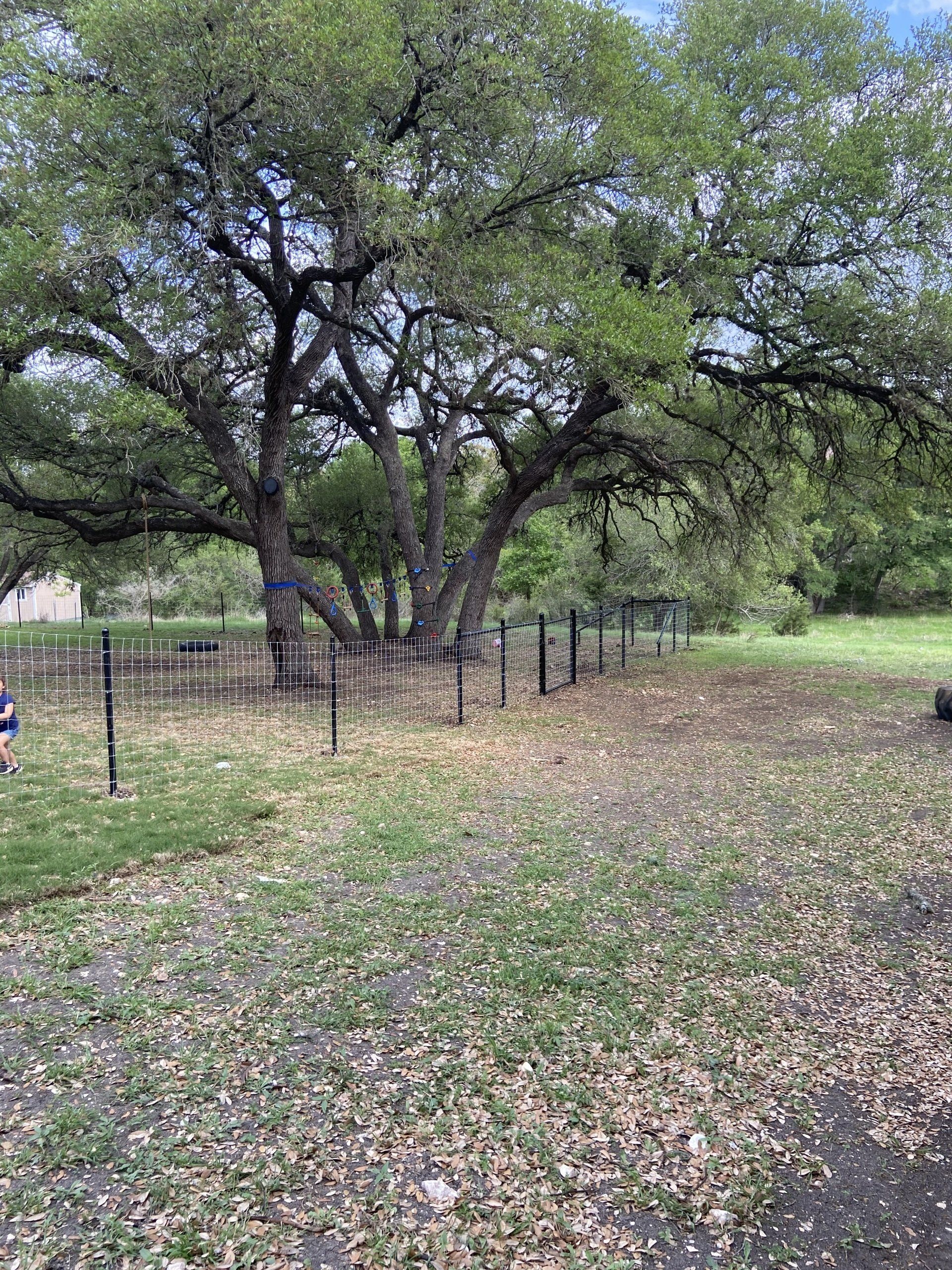 Pipe Fence with Wire Panel — New Braunfels, TX — Shelton’s Outback Fence Co