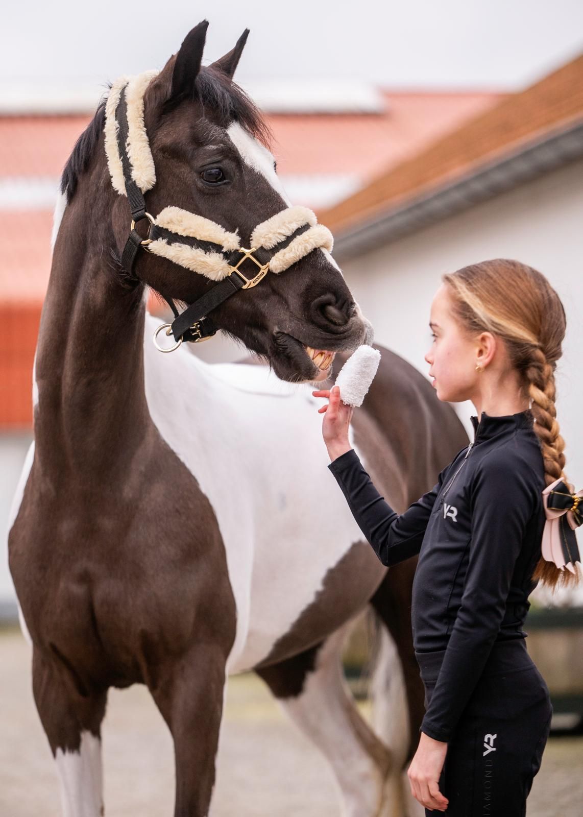 Poetshandschoen Mini