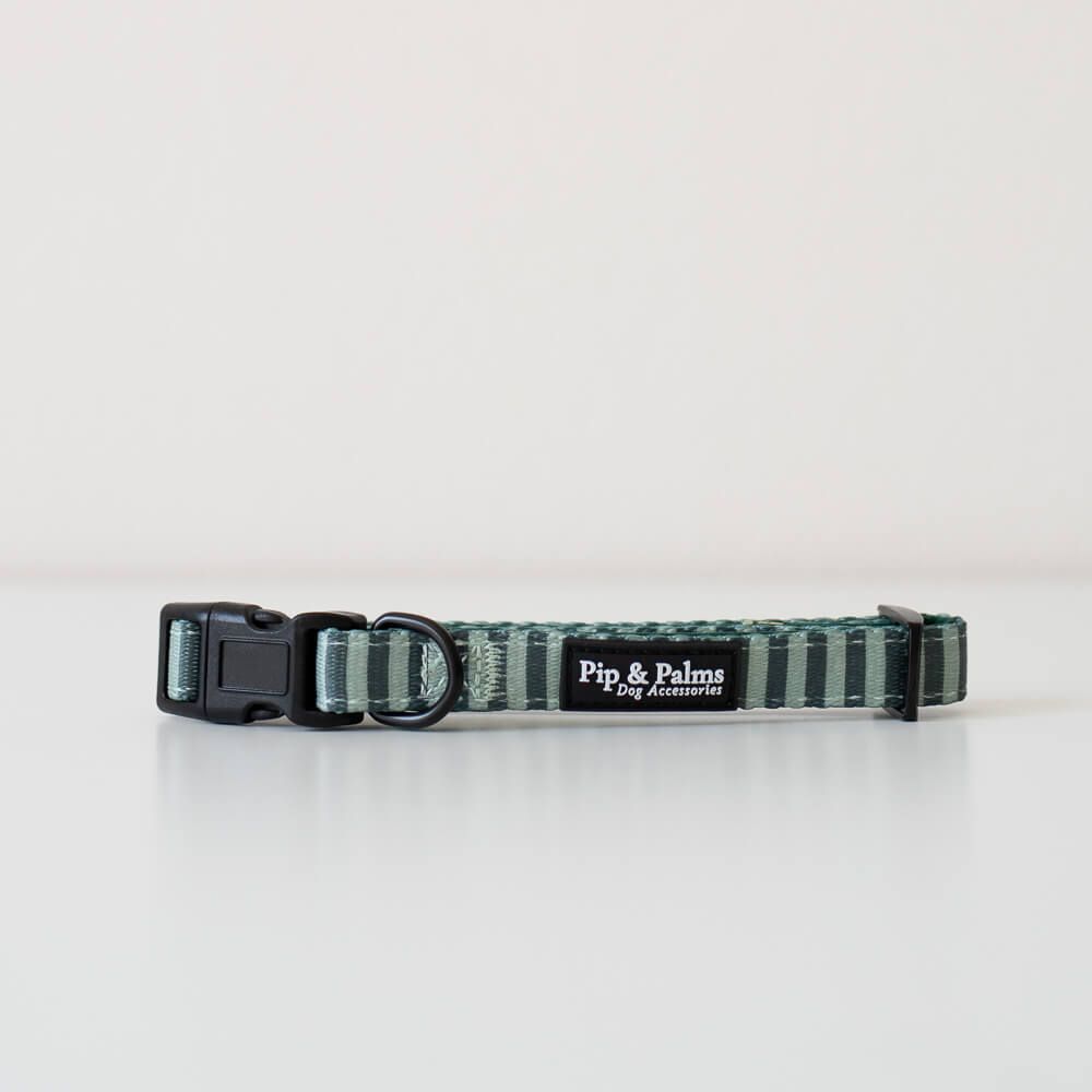 Halsband Stripy stripes